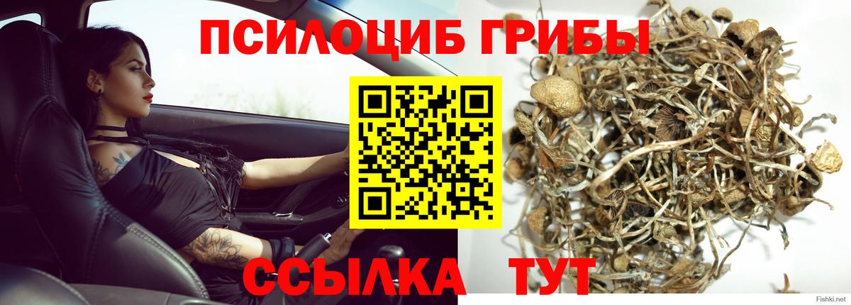 Конопля  APVP СК кристаллы  COCAIN  Купить  МЕФ   ГАШ  МДМА  Тверь  Вход с VPN 